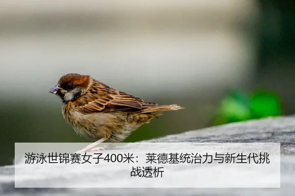游泳世锦赛女子400米：莱德基统治力与新生代挑战透析