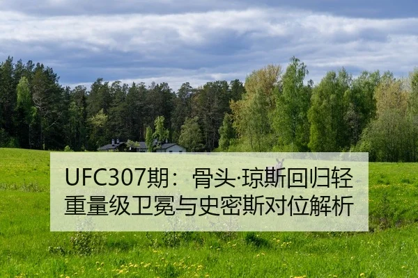 qi-gu-tou-qiong-si-hui-gui-qing-zhong-liang-ji-wei-mian-yu-shi-mi-si-dui-wei-jie-xi-2-952.jpg
