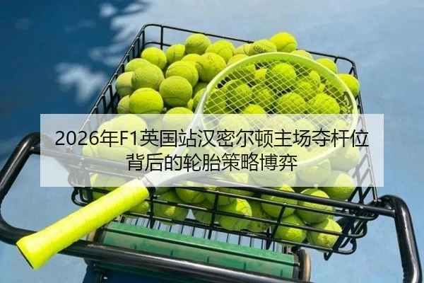 nian-ying-guo-zhan-han-mi-er-dun-zhu-chang-duo-gan-wei-bei-hou-de-lun-tai-ce-lve-bo-yi-3-175.jpg