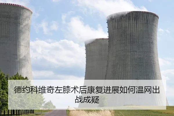 德约科维奇左膝术后康复进展如何温网出战成疑