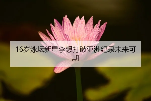 sui-yong-tan-xin-xing-li-xiang-da-po-ya-zhou-ji-lu-wei-lai-ke-qi-2-993.jpg